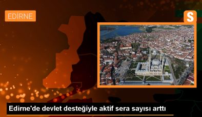 Edirne’de devlet desteğiyle seralar yenilendi