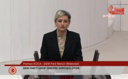 DEM Partisi Milletvekili Perihan Koca, AKP Milletvekili Fatma Öncü’ye el hareketi yaptı iddiası